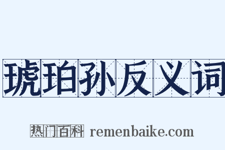 琥珀孙反义词是什么意思的图片